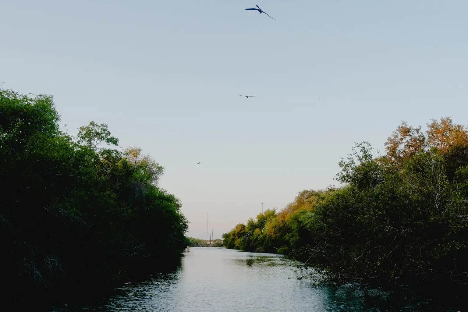 River Authority’s Budget Woes to Water-Needy Corpus Christi