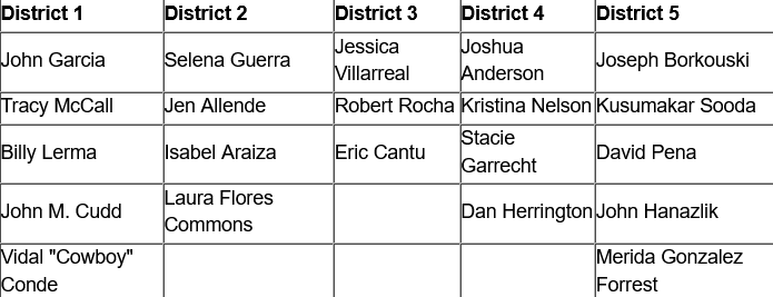 City Council 1.png