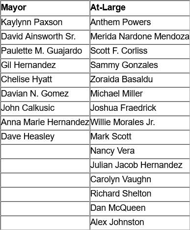 City Council 2.png