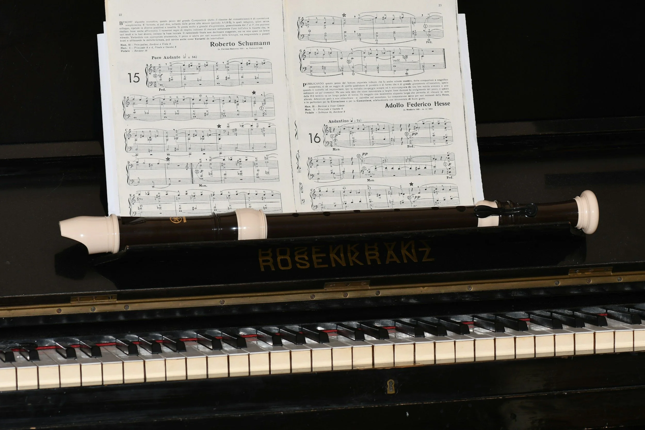 Piano and Clarinet Concert