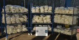 CBP Seize More Than $16M in Meth Hidden in Frozen Mangoes