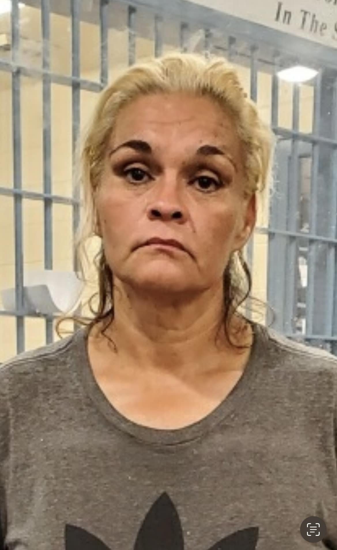 Crime Blotter - Felony Warrants