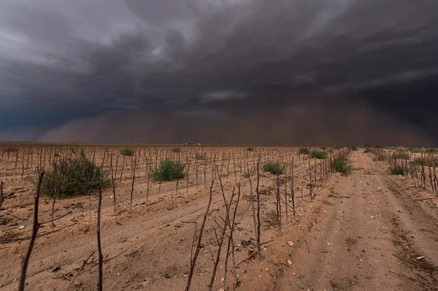 How Bad will the Drought be in South Texas?