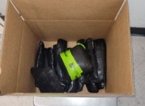 CBP Officers Begin Week with Several Large Drug Busts