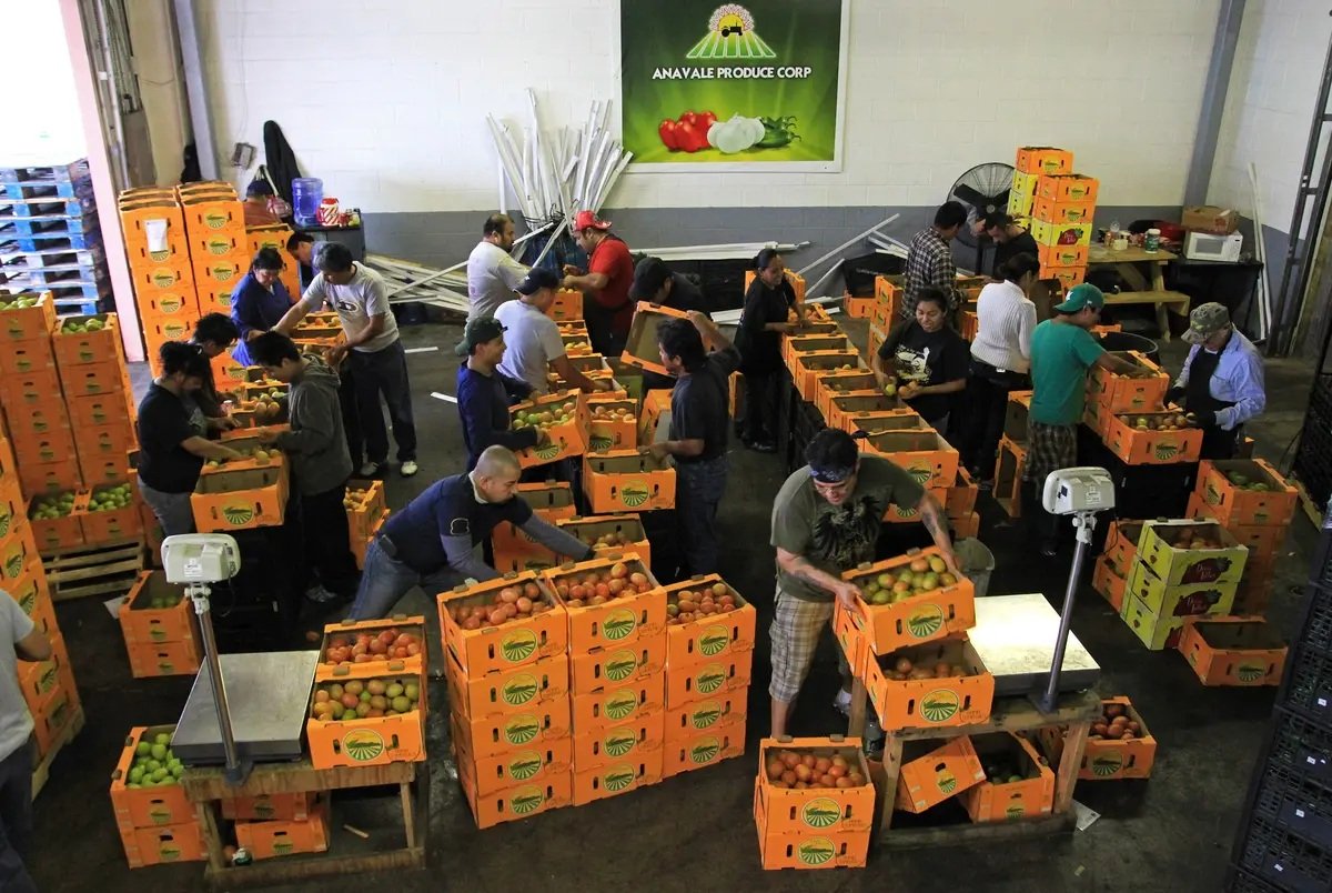 Texas Lawmakers Want to Extend Tomato Trade Agreement