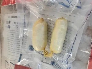 CBP Officers Stop Internal Carrier Smuggling Fentanyl