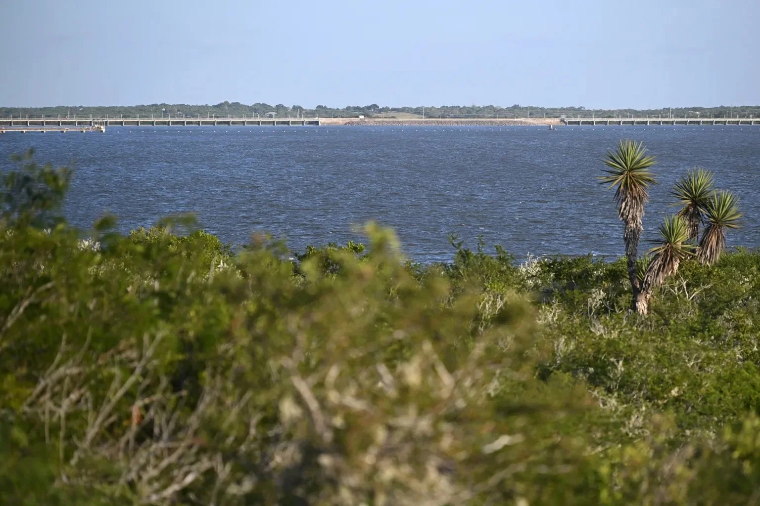 How Corpus Christi’s Water Emergency Exposed Flaws in Texas’ Water Planning