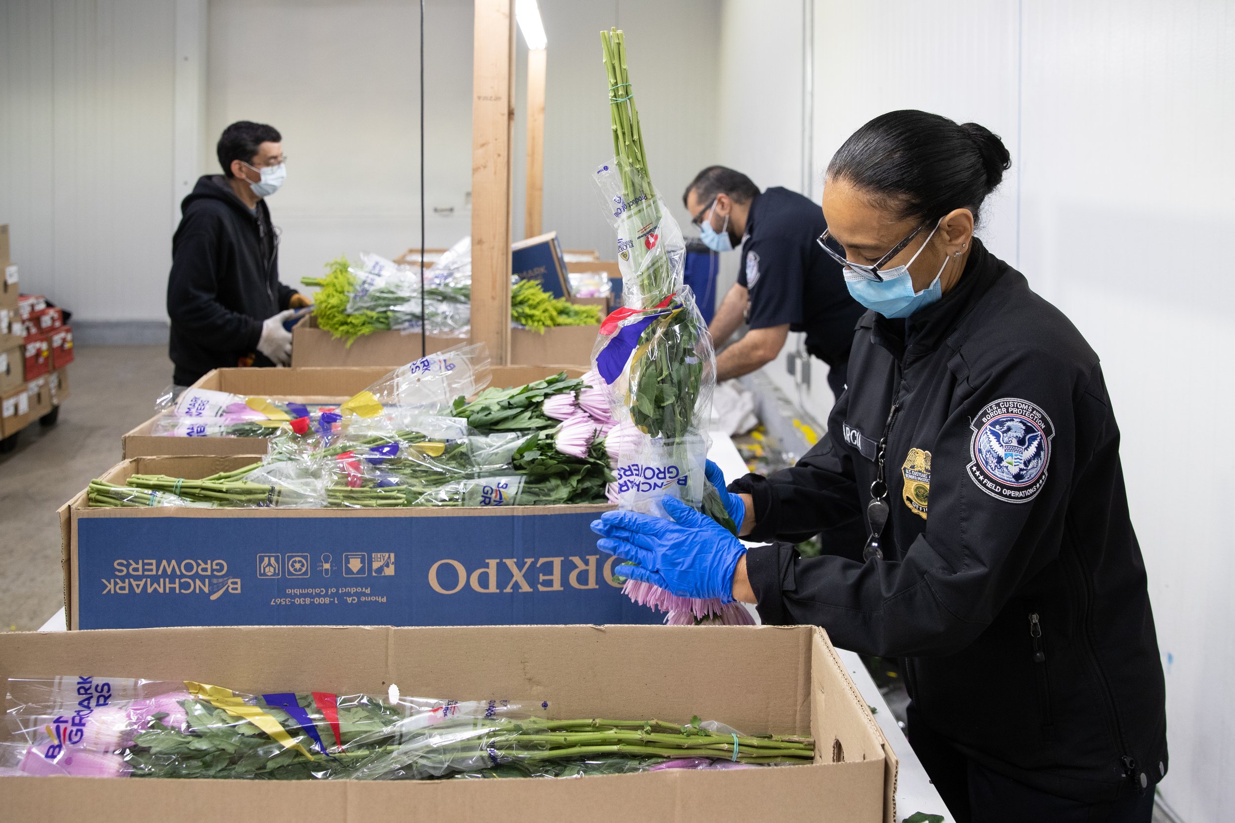 Specialists Prepare for Valentine’s Day Flower Imports