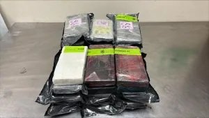 On Easter Sunday, CBP Officers Uncover More than $800K in Cocaine