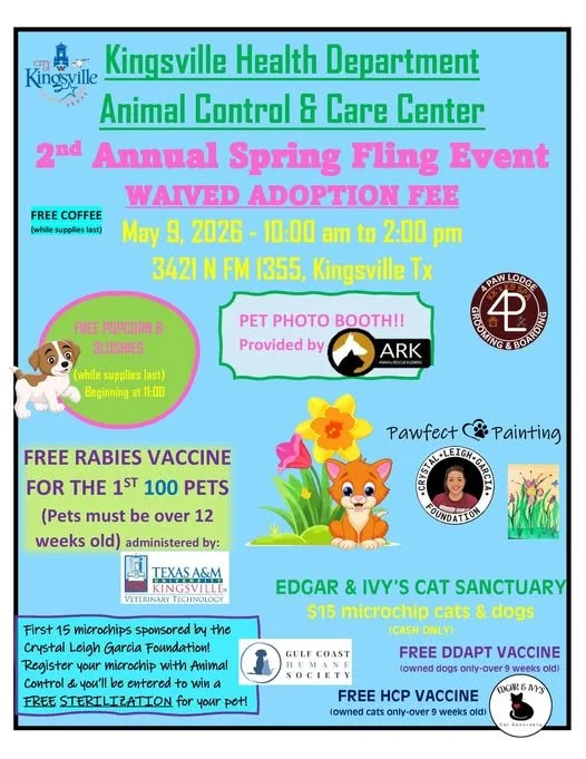 2nd Annual Spring Fling Event 