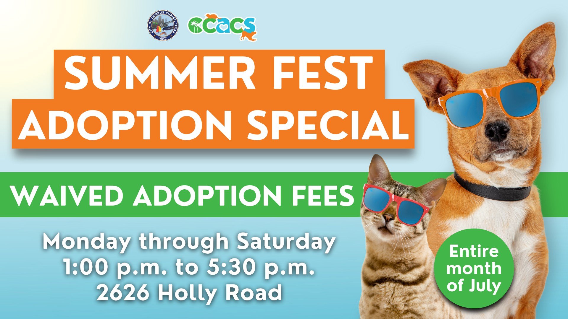 Summer Fest Pet Adoption