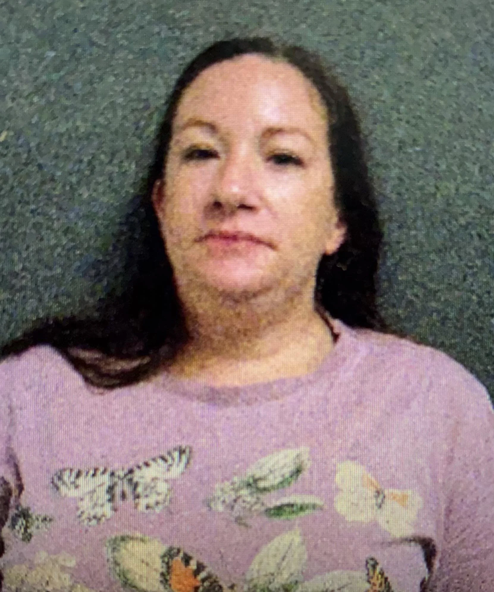 Woman Arrested After Shoplifting Report, Brief Pursuit Across County Lines