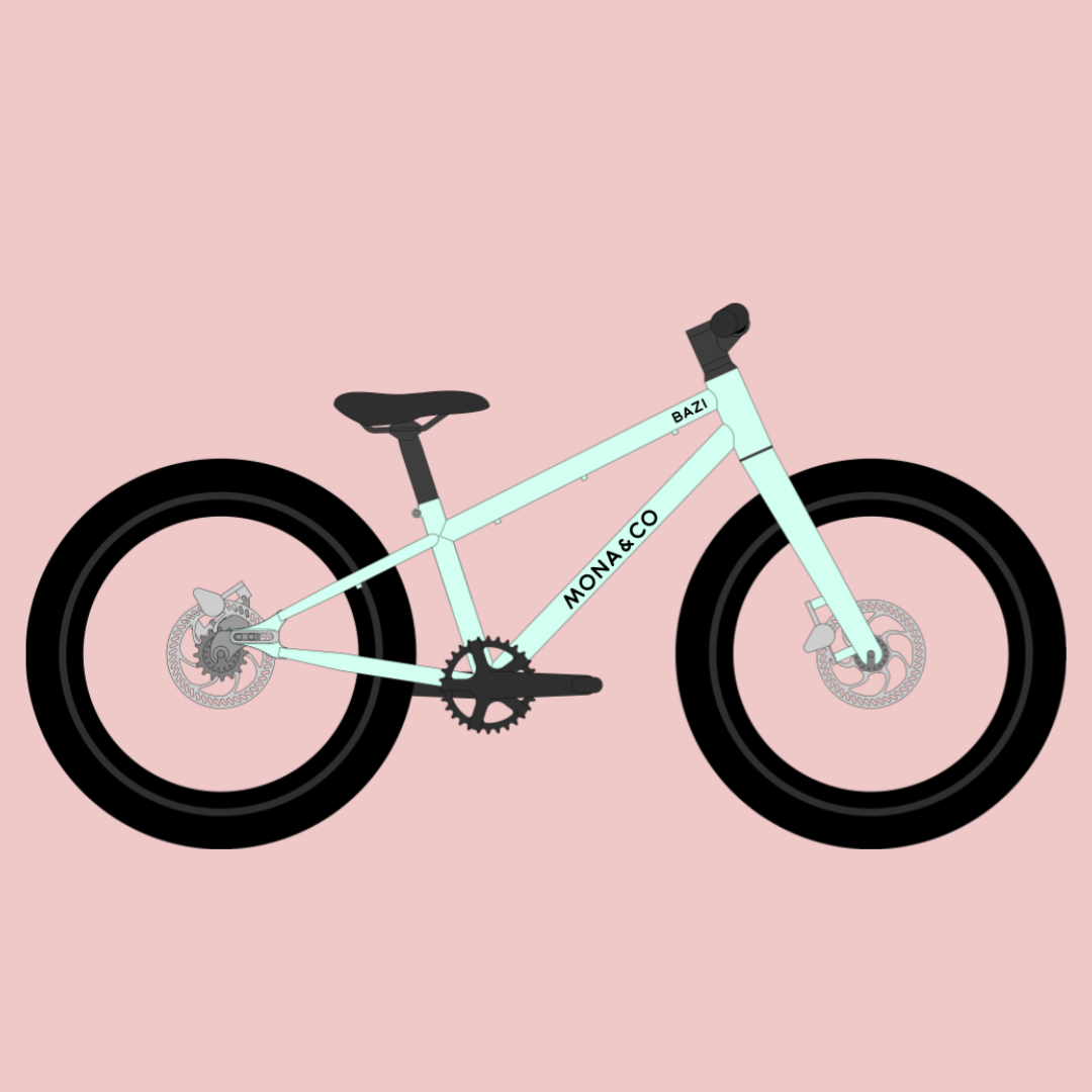 Bazi 20 Singlespeed_mint_rosa.png