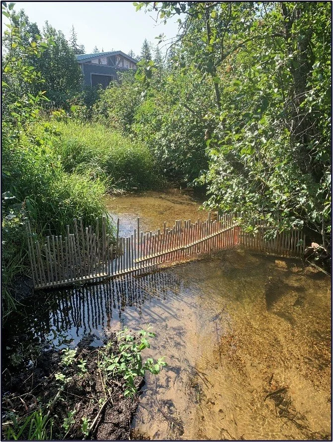 fence 2.jpg