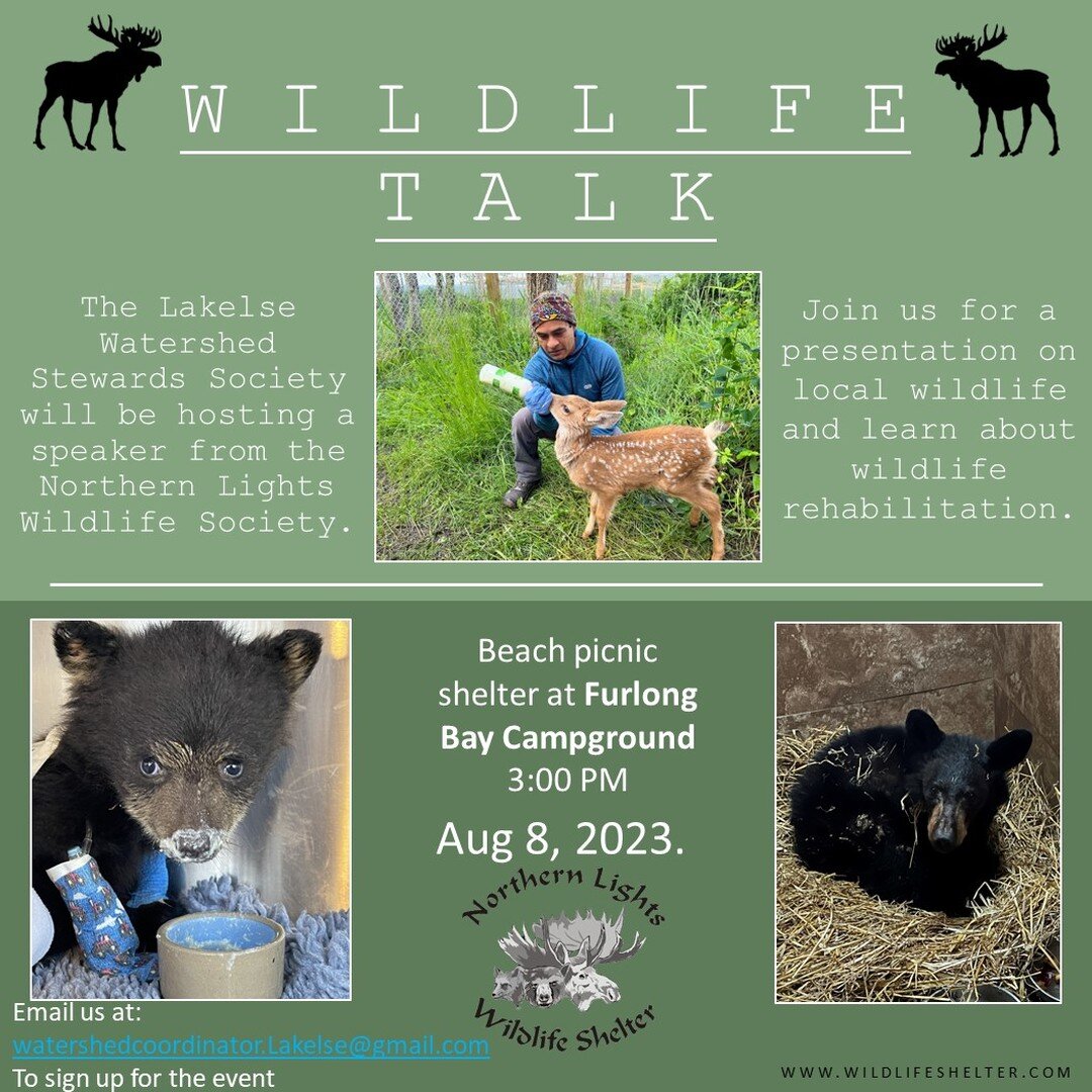 Northern Lights Wildlife Society will be joining LWSS for a wildlife talk at the beach picnic shelter at Furlong Bay Campground on Tuesday, August 8th at 3:00 PM. 

Come learn about our local wildlife, all ages are welcome!

Email us at: 
watershedco