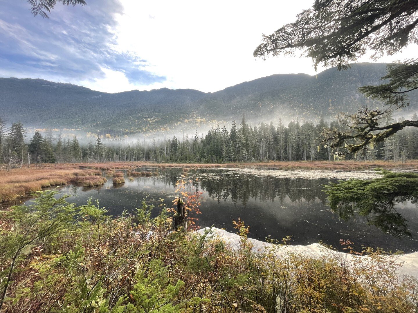 Fall is in full swing out here at the Jackpine Wetland Interpretive Trail! Construction is still underway to build the trail around this beautiful wetland. We'd like to say a huge thank you to our project partners that make this work possible. Your g