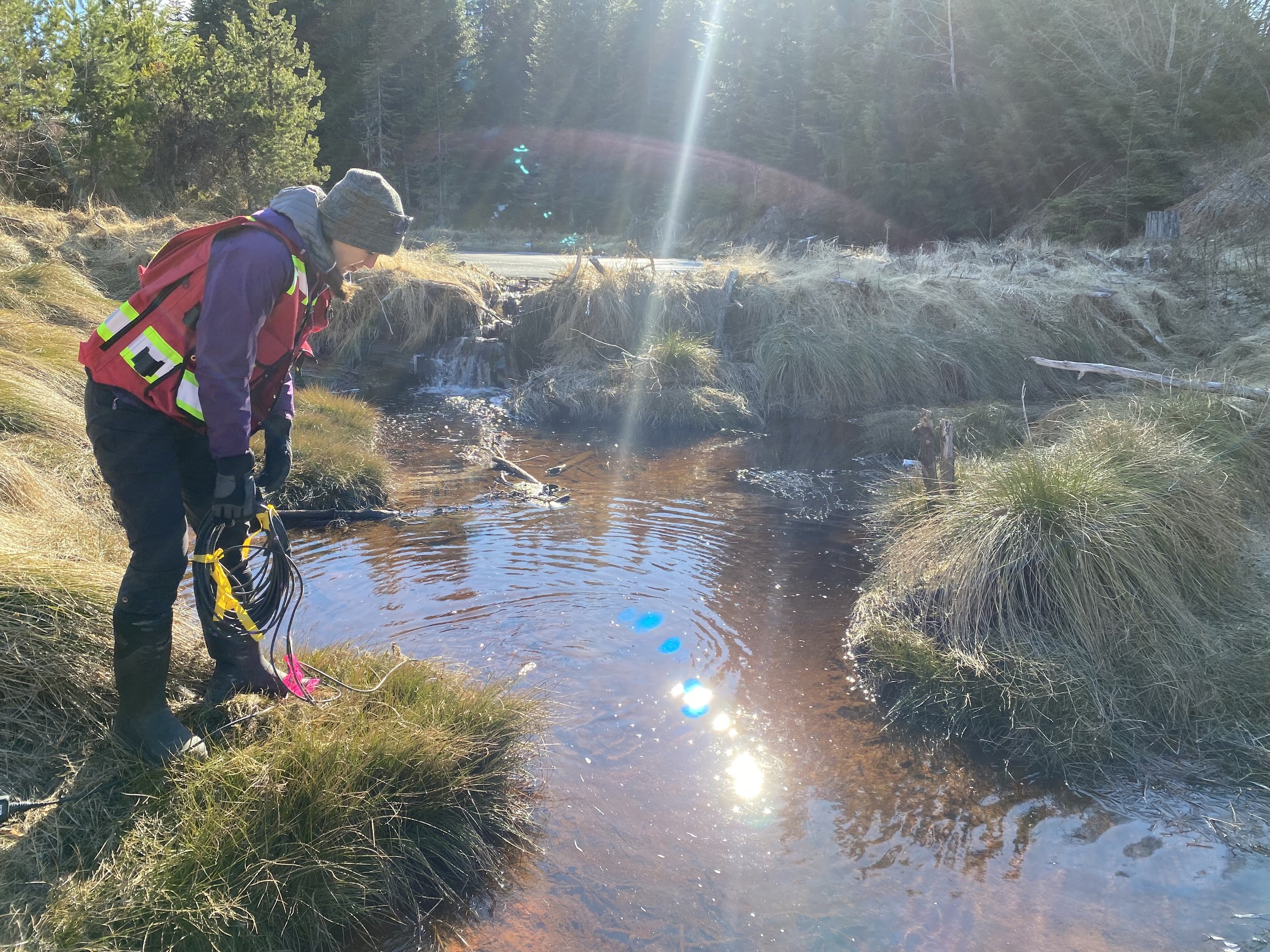 Sampling water quality from various creeks throughout the watershed
