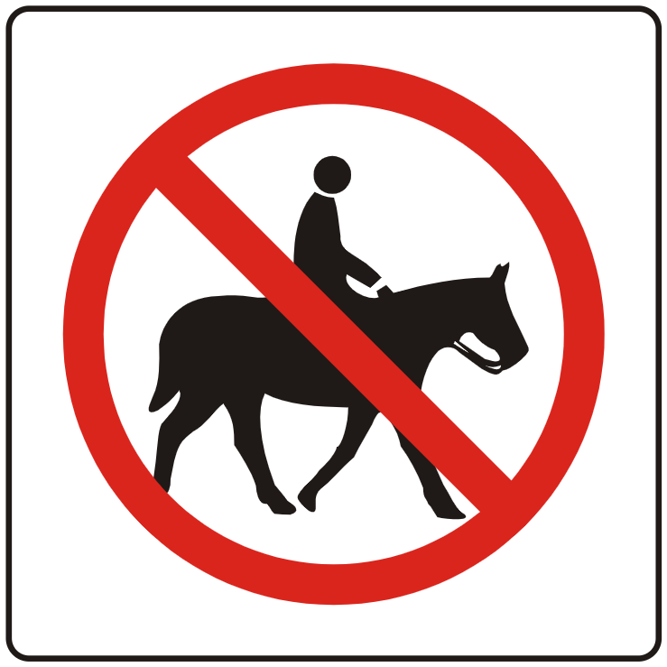 no horses.png