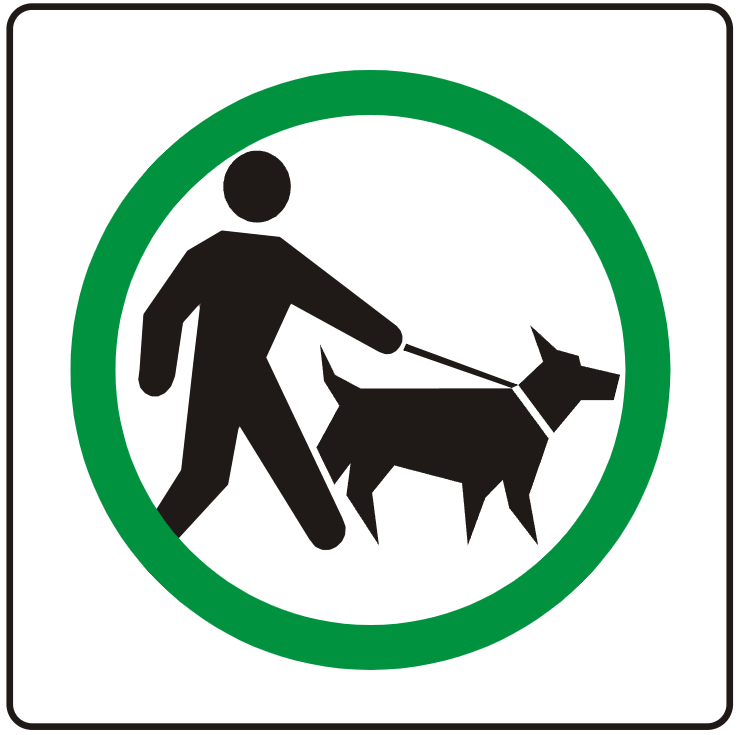 dogs leash.png
