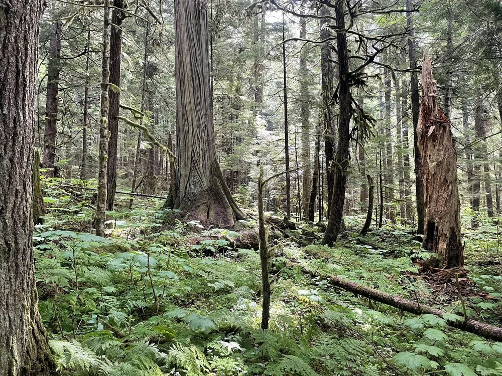 photo 1.jpg