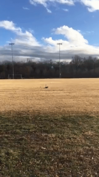 Video of the rocket’s flight