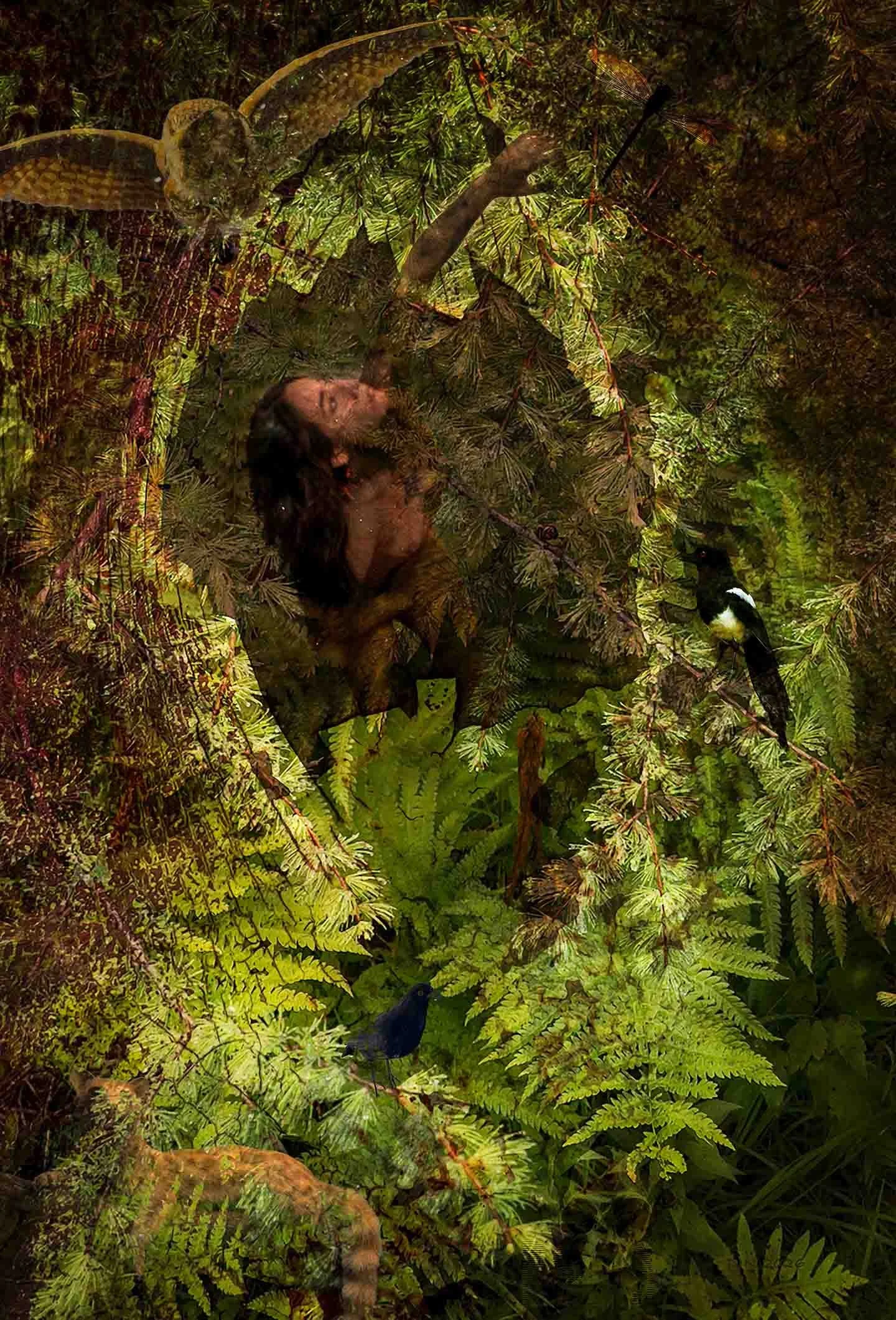 creation story ig.jpg