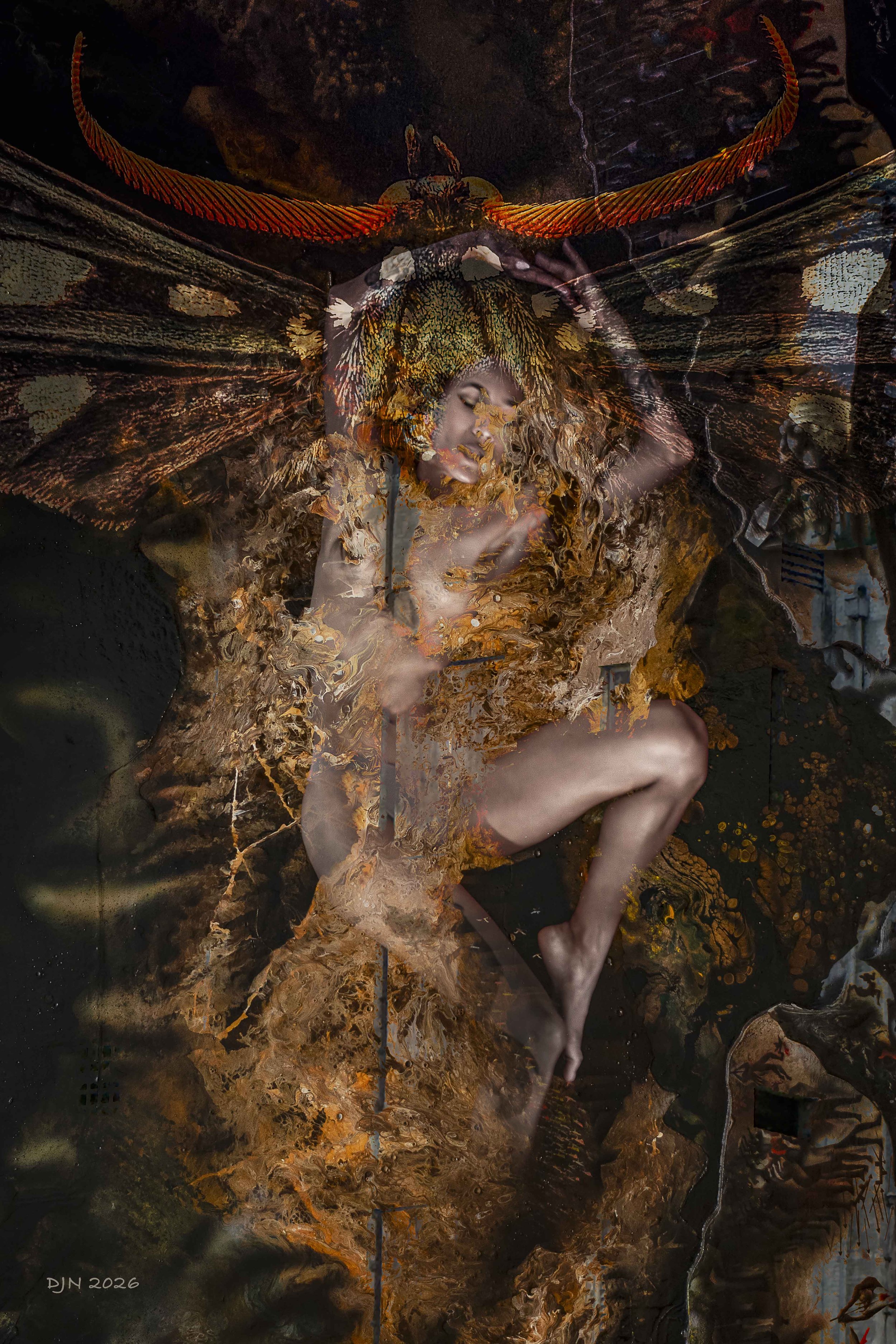 Metamorphosis1624.jpg