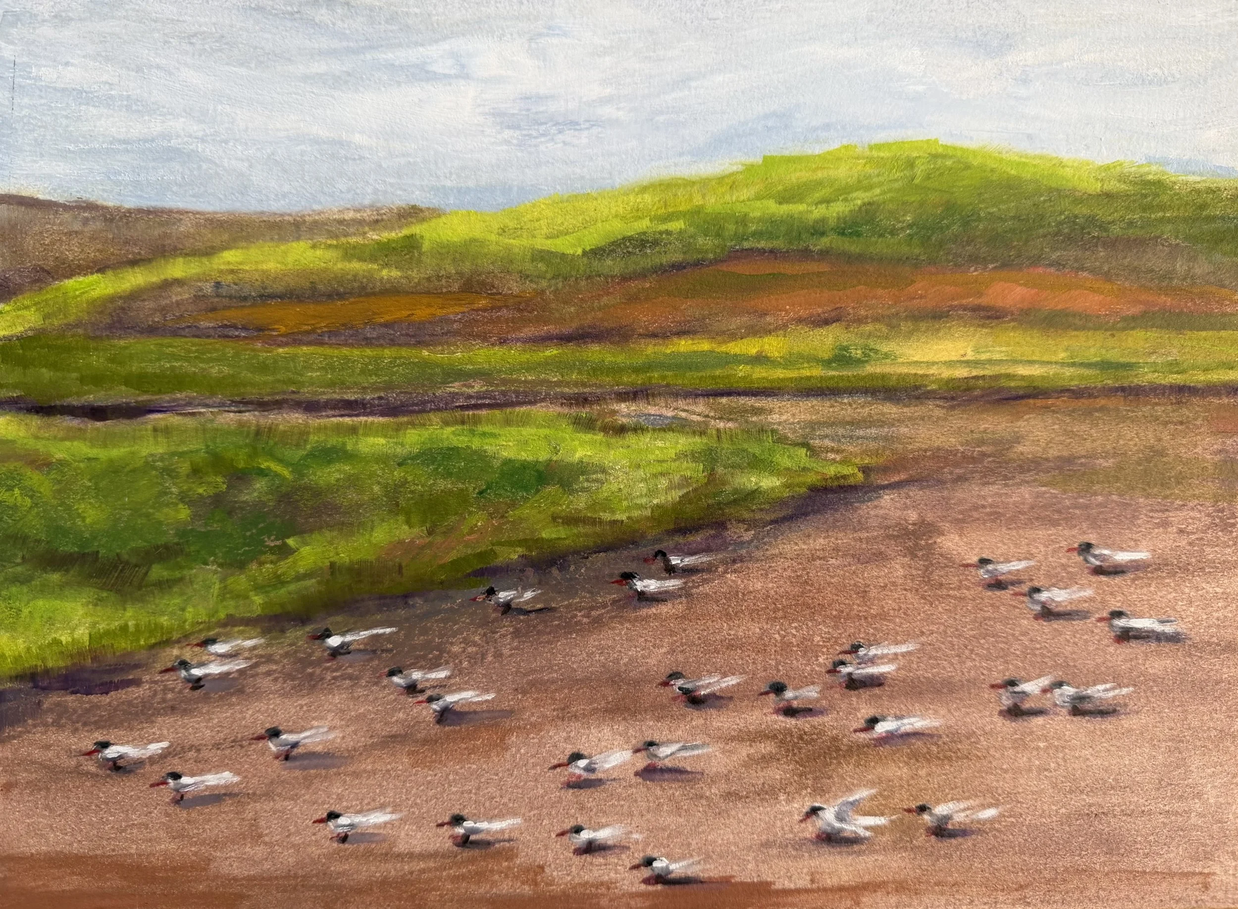 Photo Feb 26 2026, 8 08 31 AM.jpg