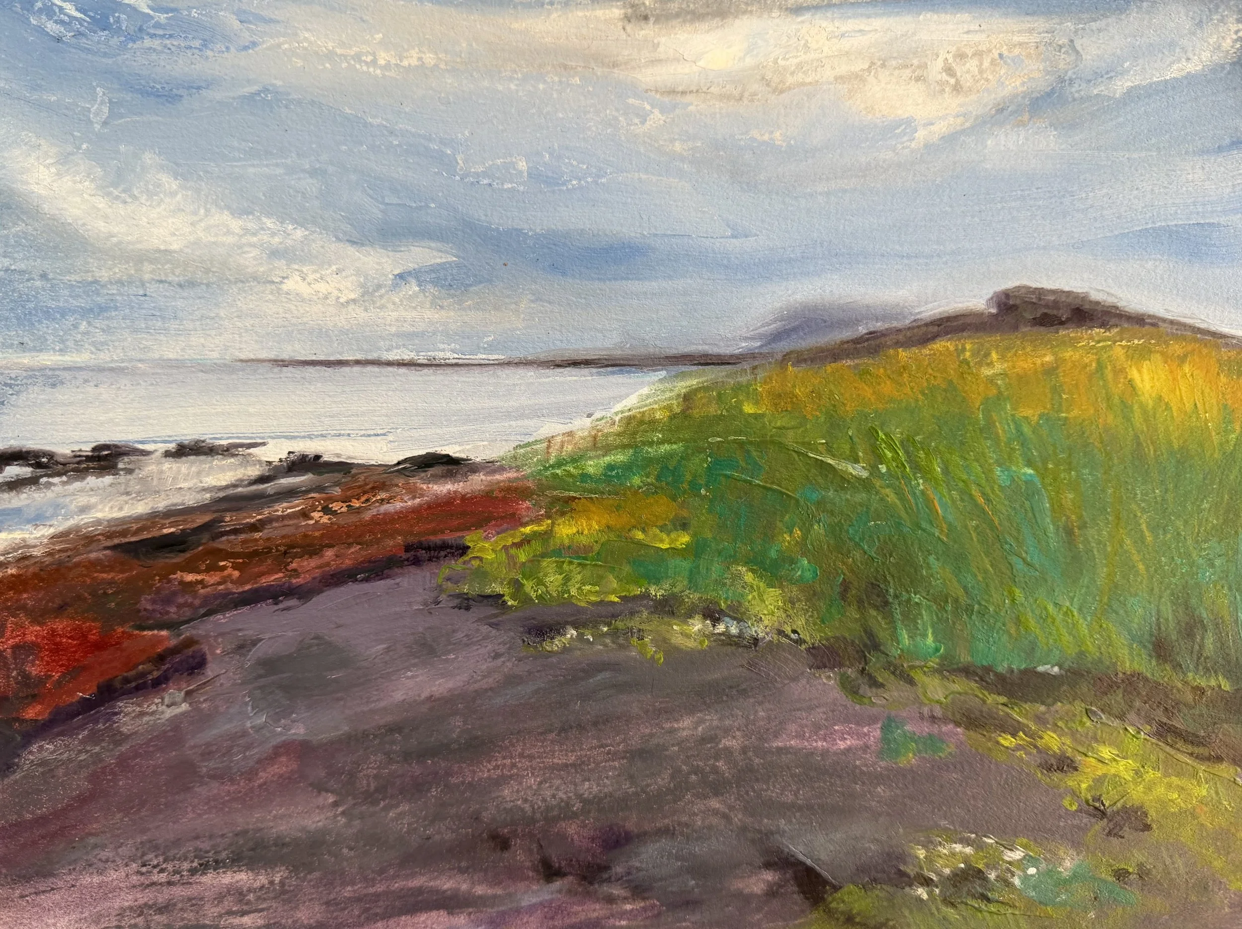 Photo Feb 26 2026, 8 08 53 AM.jpg