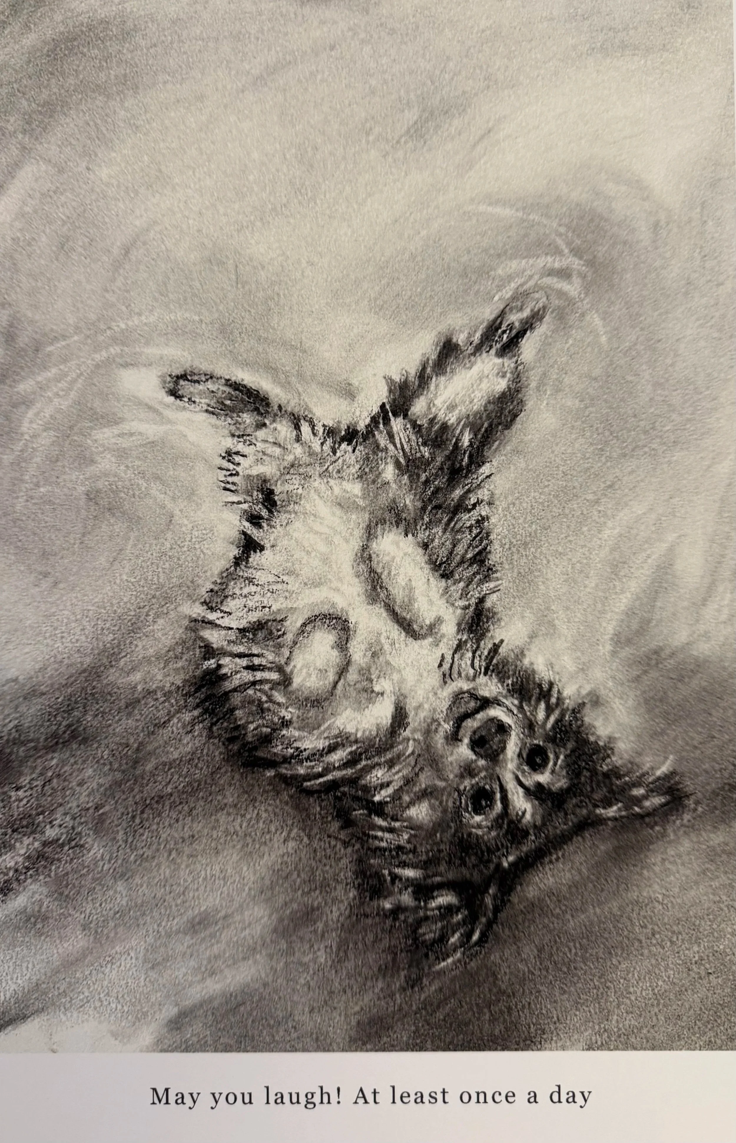 WISHES print: May you laugh!