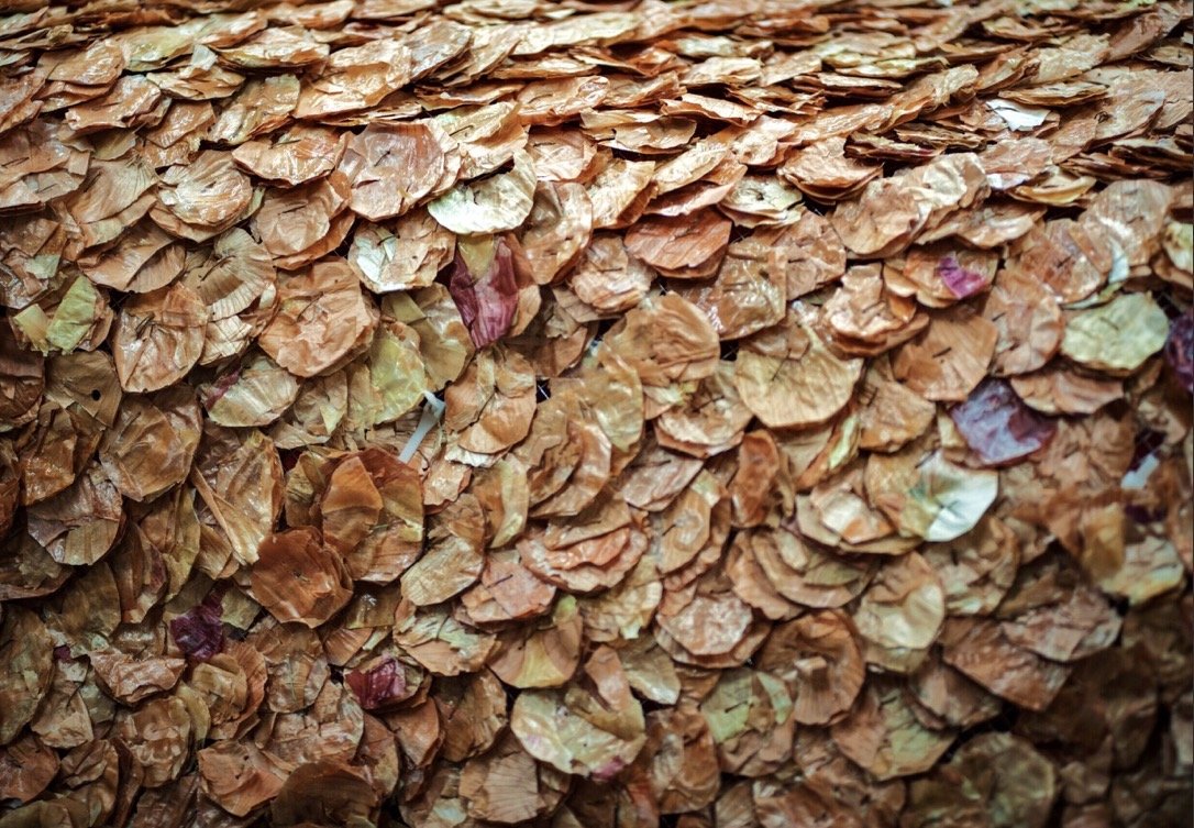 Photo Feb 07 2026, 5 49 00 AM.jpg