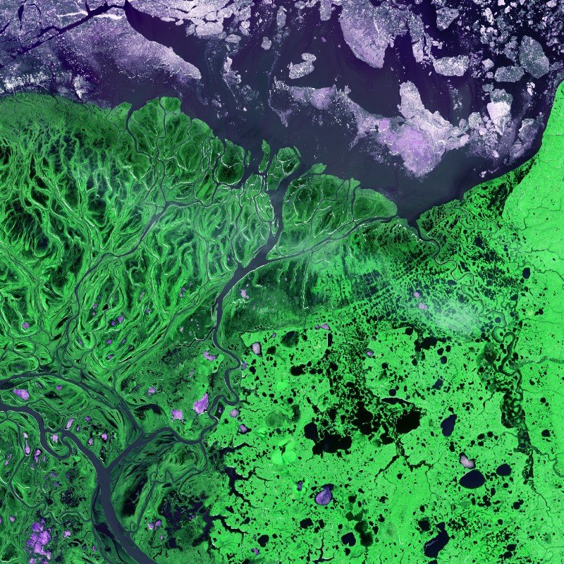 Can bacteria turn atmospheric carbon into fuel?