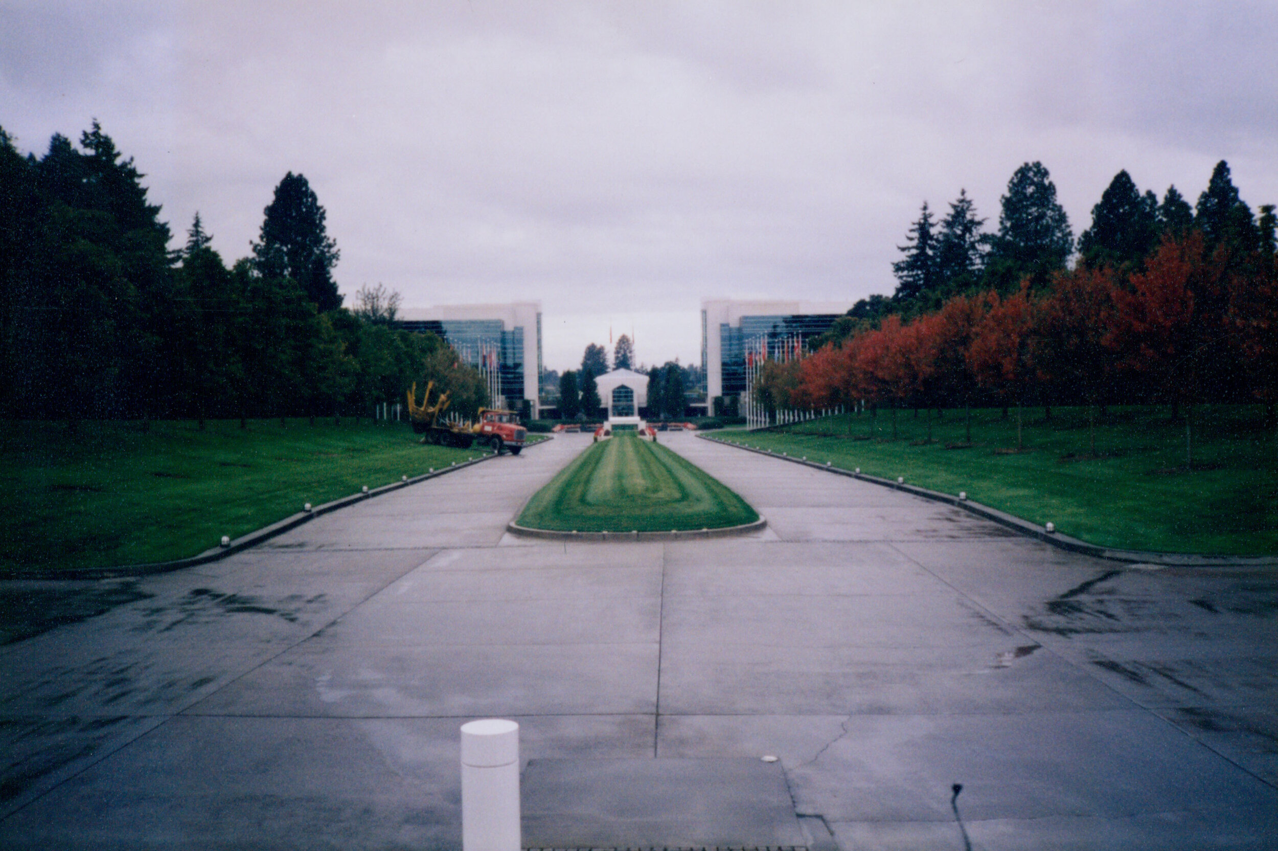 Tree transplanting at Nike campus.