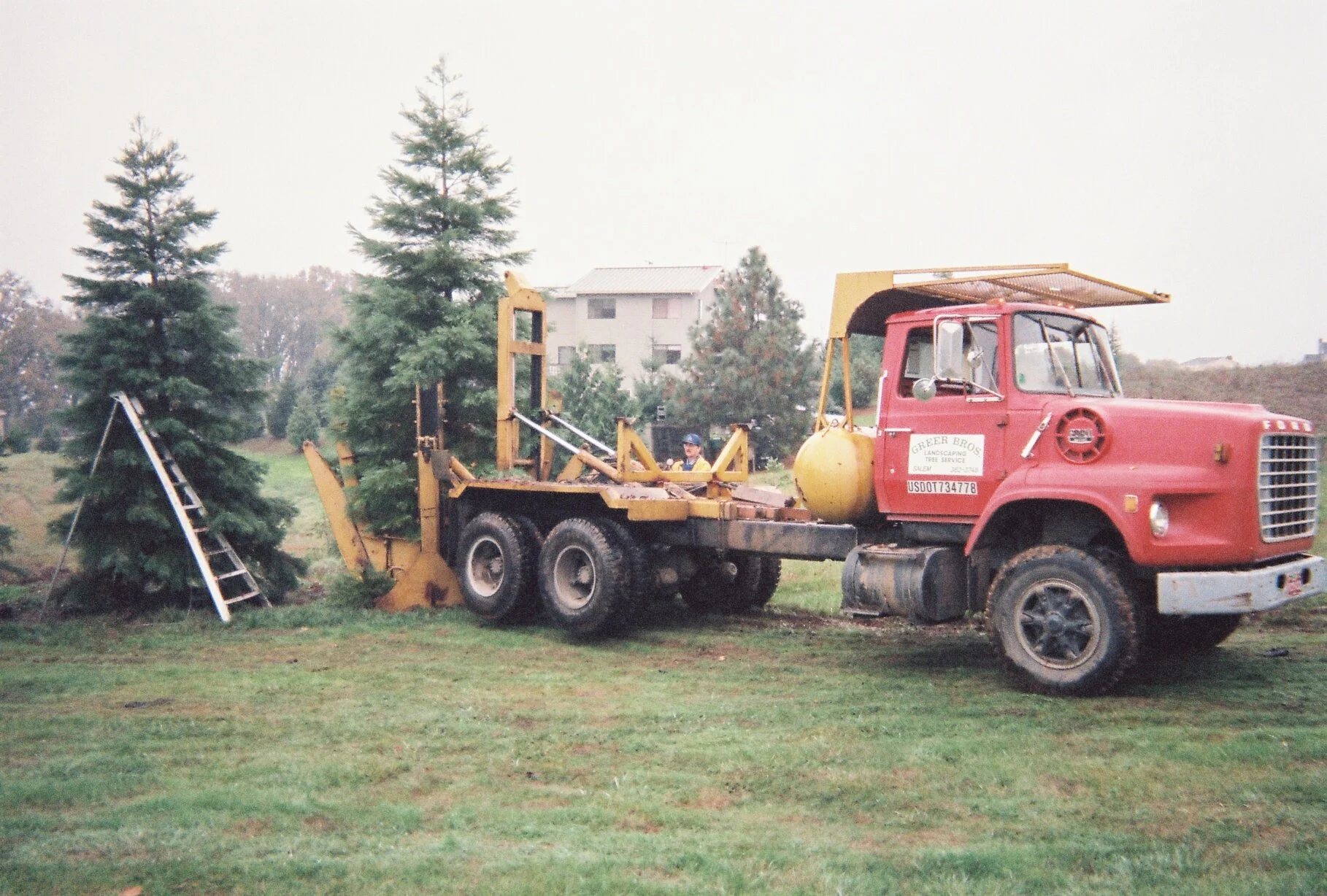 Tree Moving Tree Pruning Tree Removal Greer Brand Industries