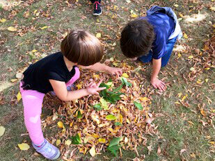 Counting Leaves.jpg