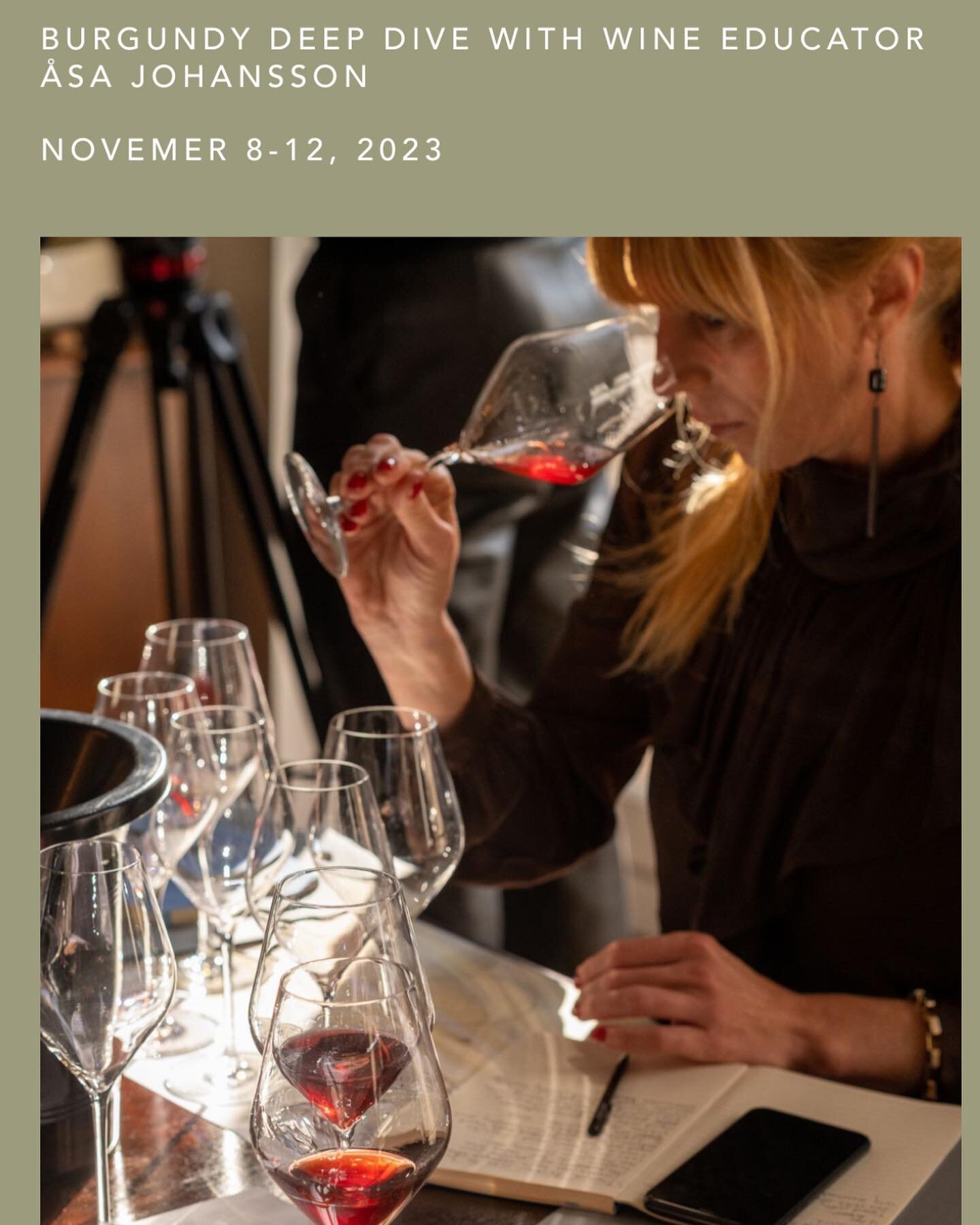 Join us in Burgundy for a 4 day deep-dive this November! Hosted by wine educator Asa Johansson, we will have so much to discuss, to see, and of course, to taste, following the harvest and vinification in Burgundy. We will gather in storied cellars of