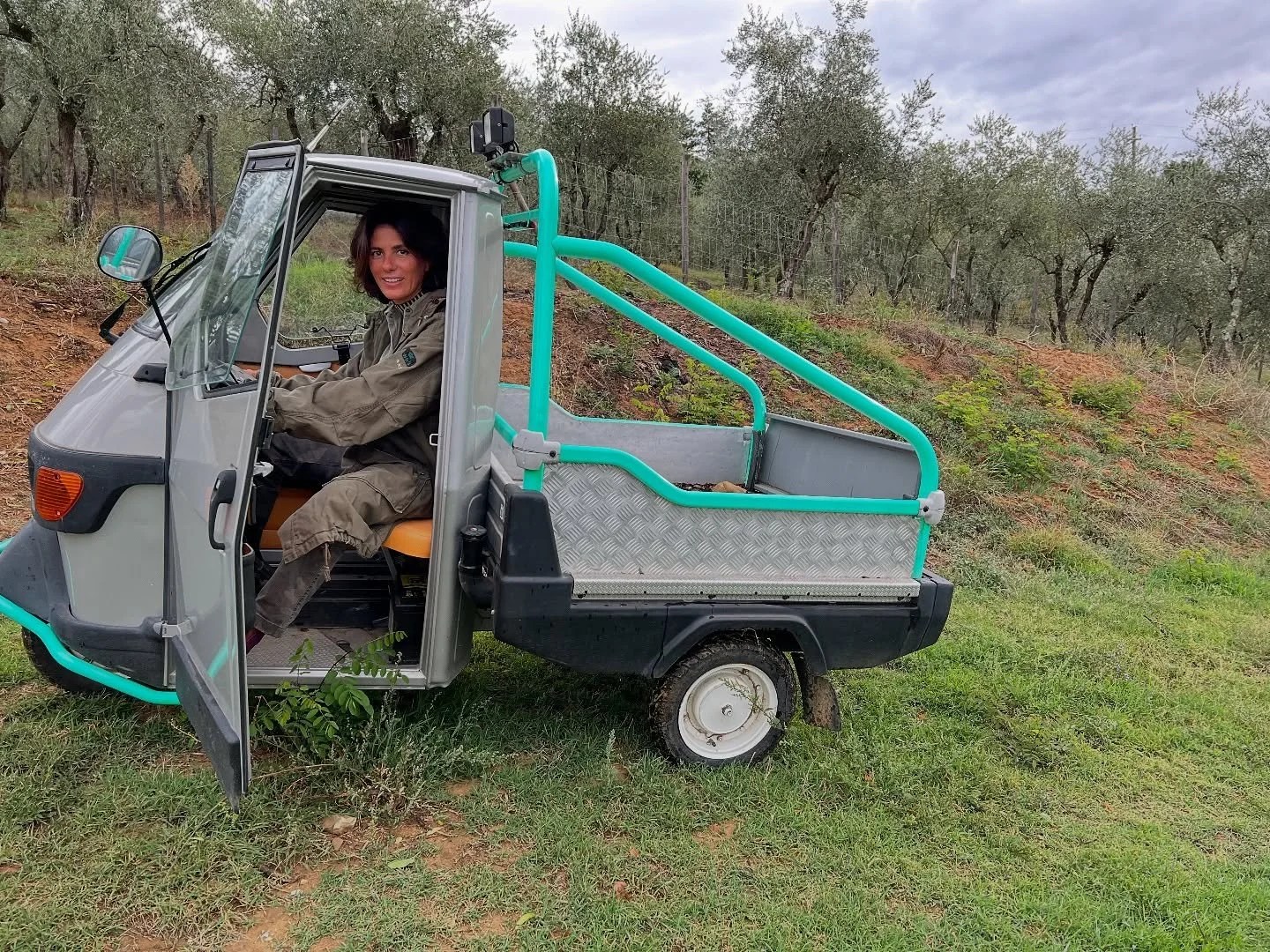 Get in, we’re going 🫒 picking. 
#madrosejourneys #tasteofitaly