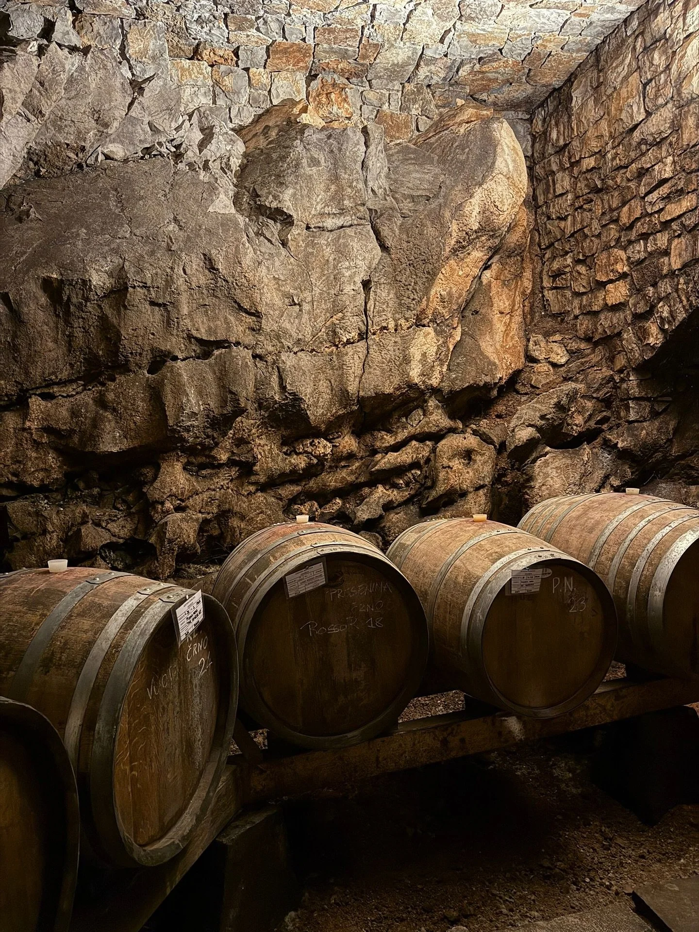 A private experience through Zidarich in the Carso: from rock-hewn cellars to mineral-driven sips of Vitovska, Malvasia, and Ruje, guided by the spirit of this celebrated Rosenthal Wine Merchant estate.
#madrosejourneys #zidarich #rosenthalwinemerch