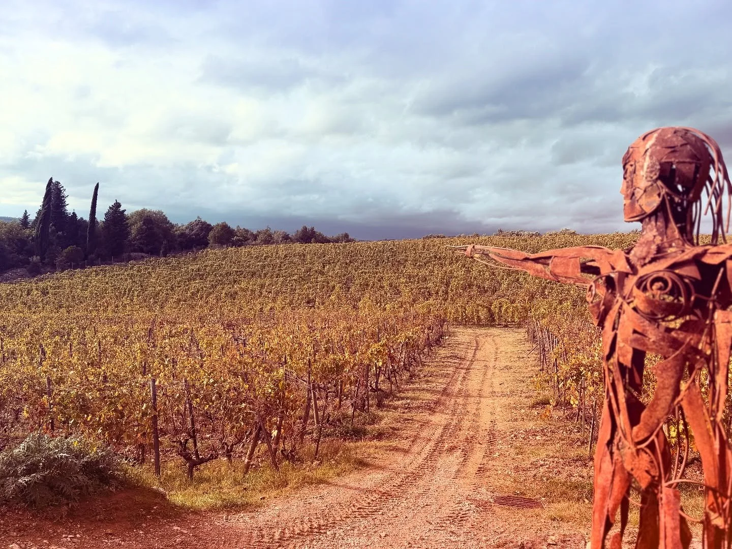In the late afternoon on Neal&rsquo;s most recent grower visit, a rainy Tuscan sky suddenly broke into sunshine as he arrived at Le Boncie in San Felice. There, Giovanna Morganti and her husband, Giorgio, welcomed him into their small but extraordina