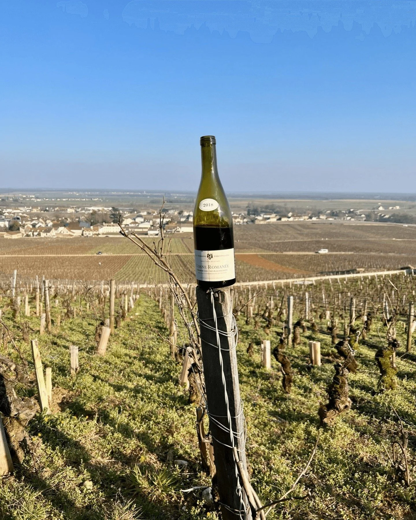 From the vineyards into the cellars at Domaine Forey P&egrave;re &amp; Fils ... rooted in Vosne-Roman&eacute;e since 1840, this family-run estate makes wines that feel unmistakably of Burgundy: shaped by generations of stewardship, meticulous vineyar