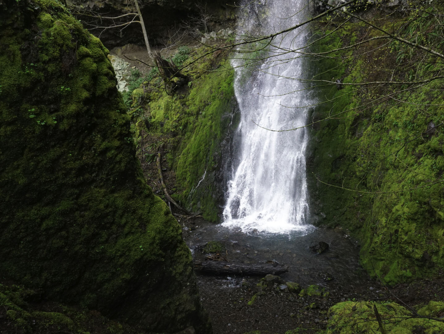 Falling Water No.1