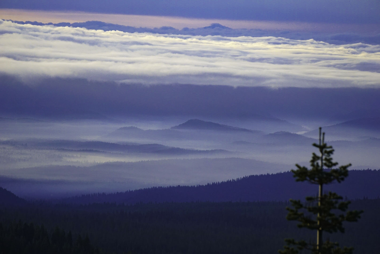 Foggy Morning Top No.1