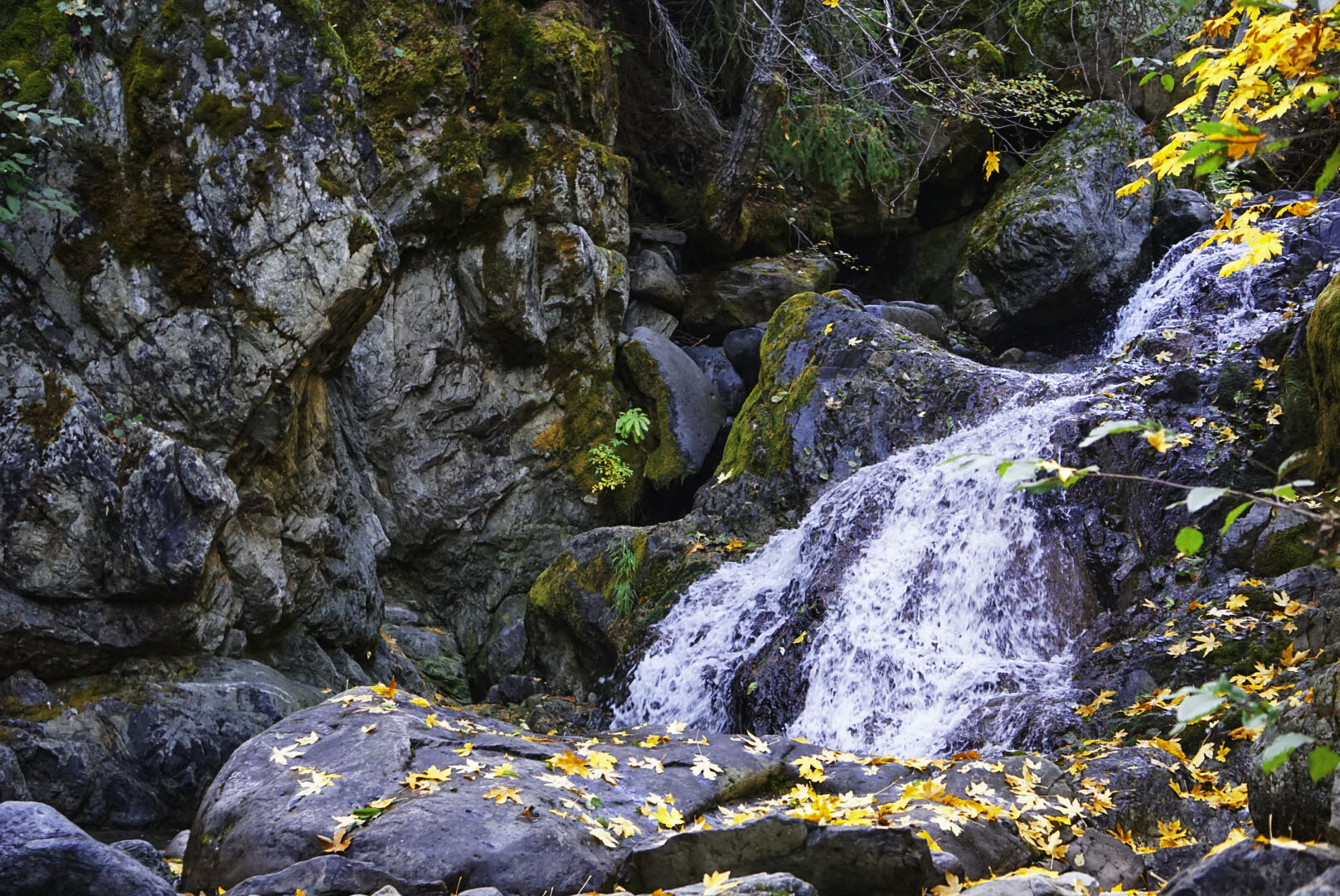 Jogging Springs No.1