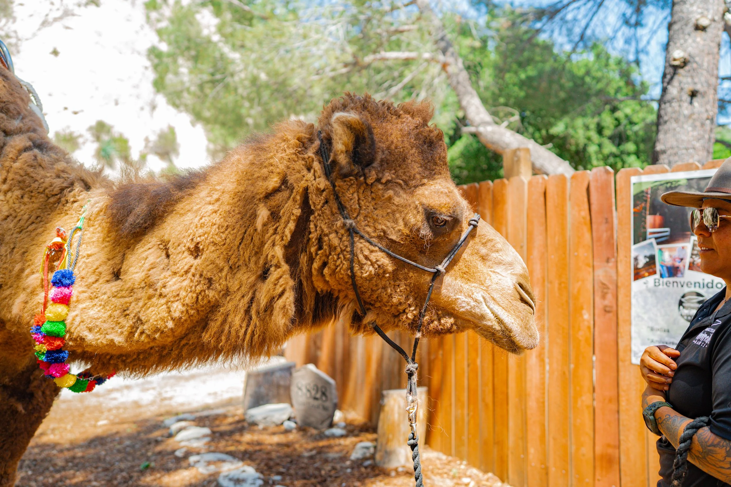 Southern.California.Wedding.photography.Mezmeriscenes (175).jpg