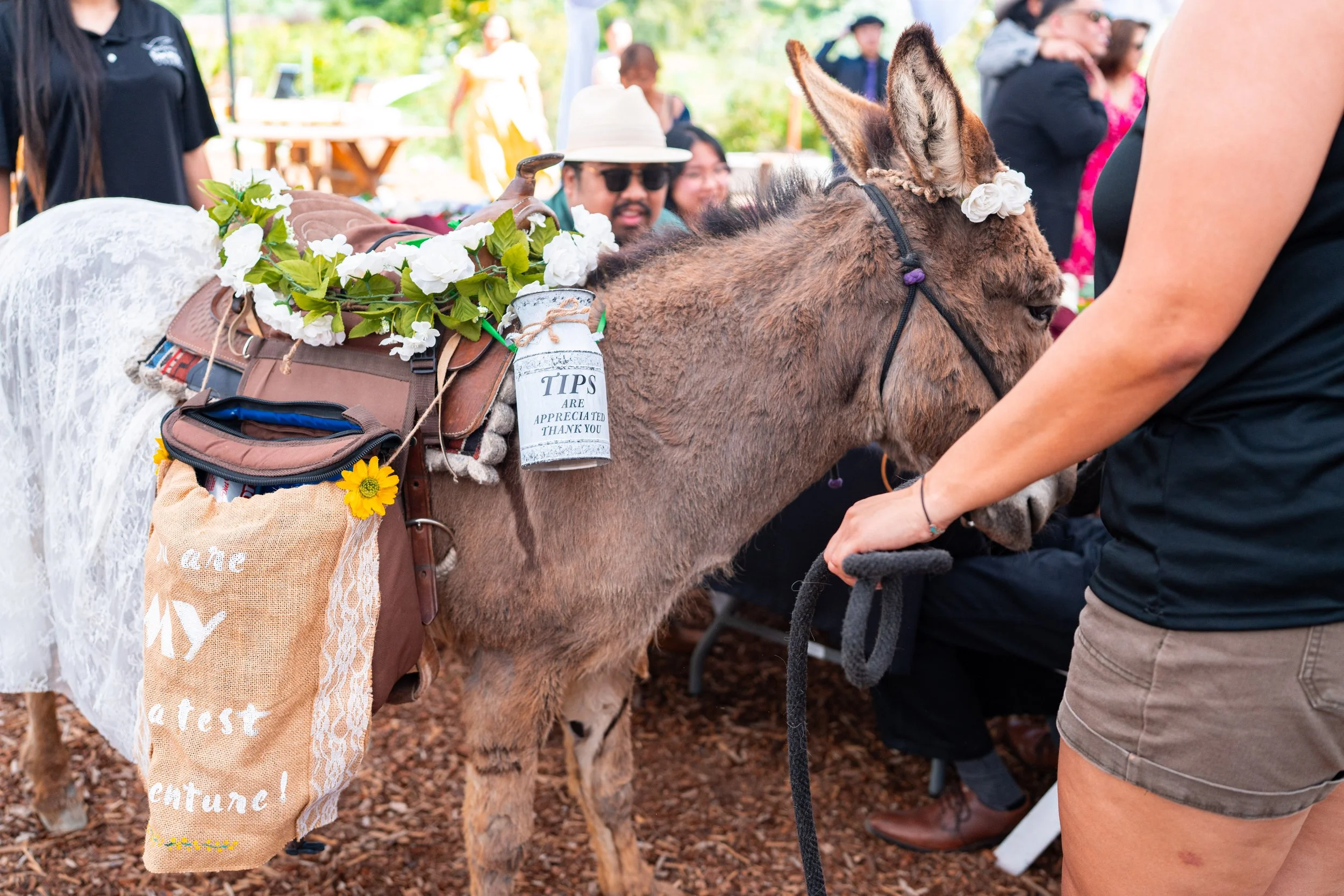 Wedding.Photography (245).jpg