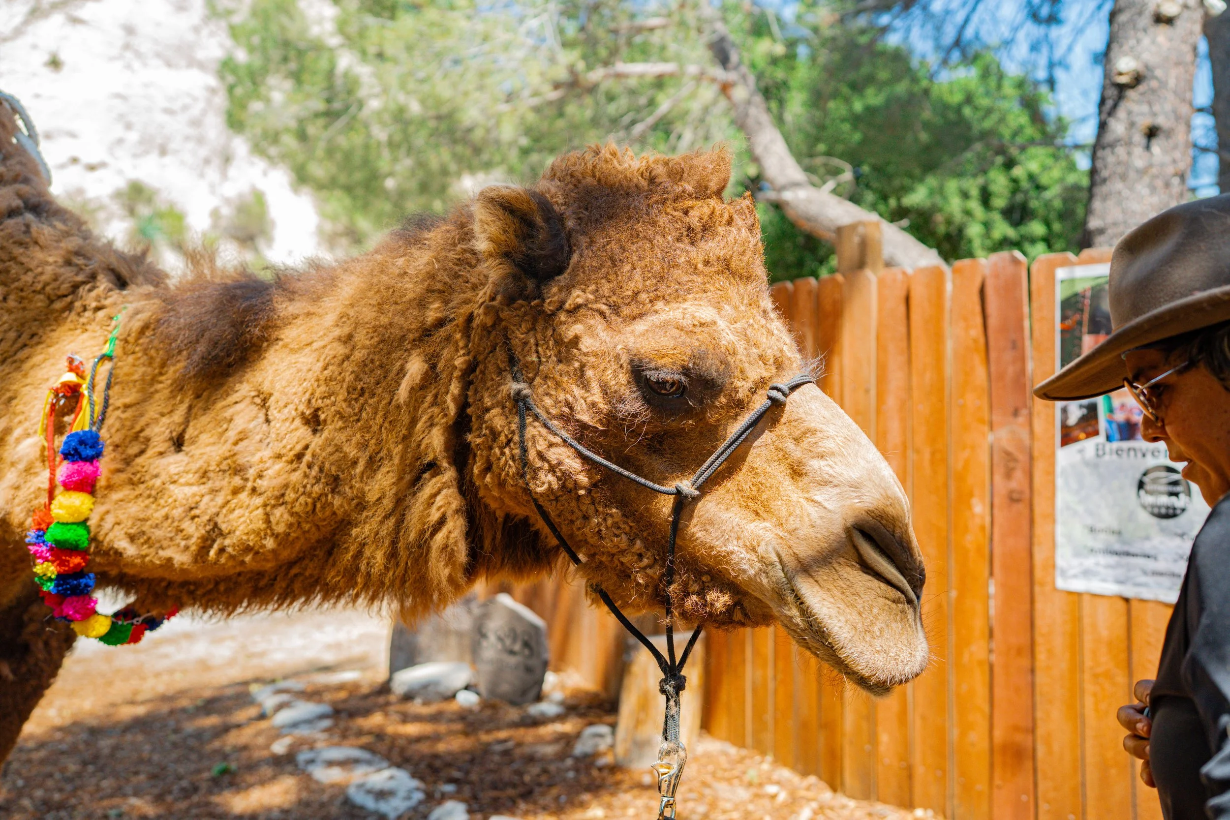 Southern.California.Wedding.photography.Mezmeriscenes (176).jpg