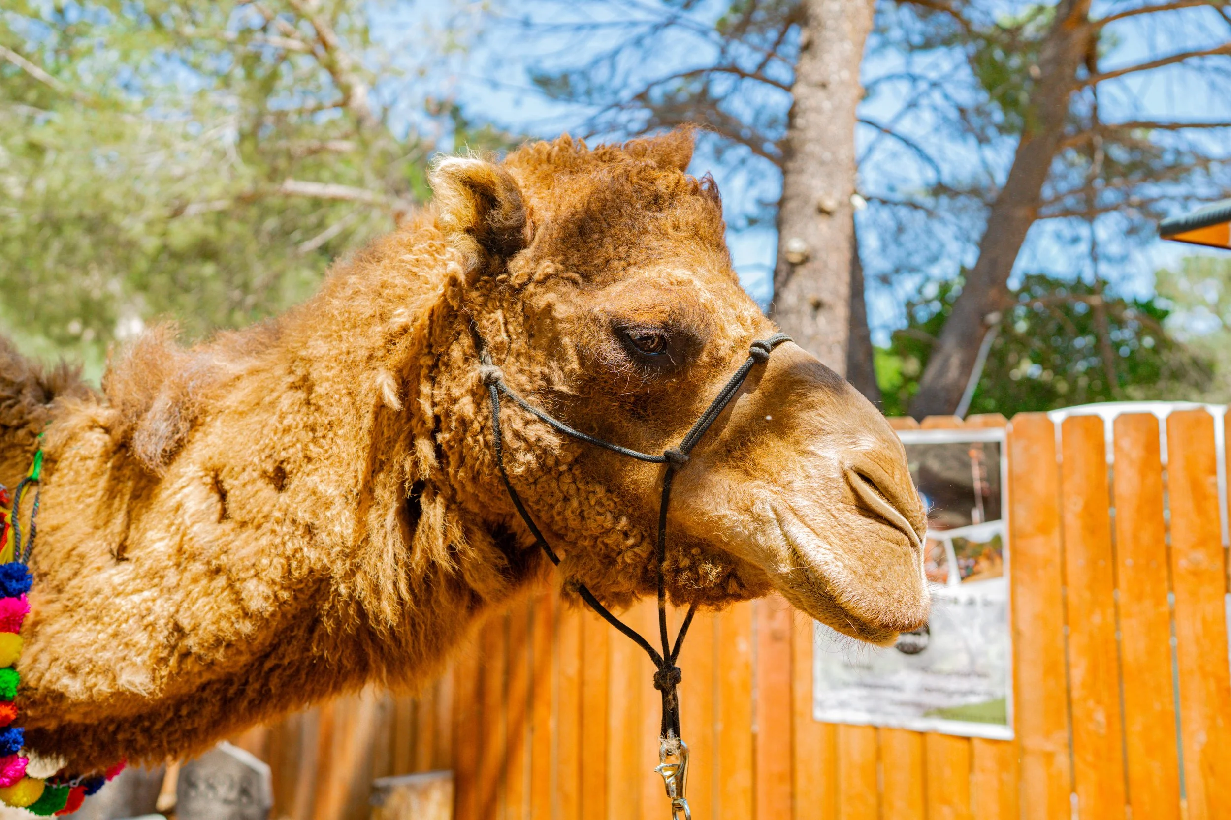Southern.California.Wedding.photography.Mezmeriscenes (179).jpg