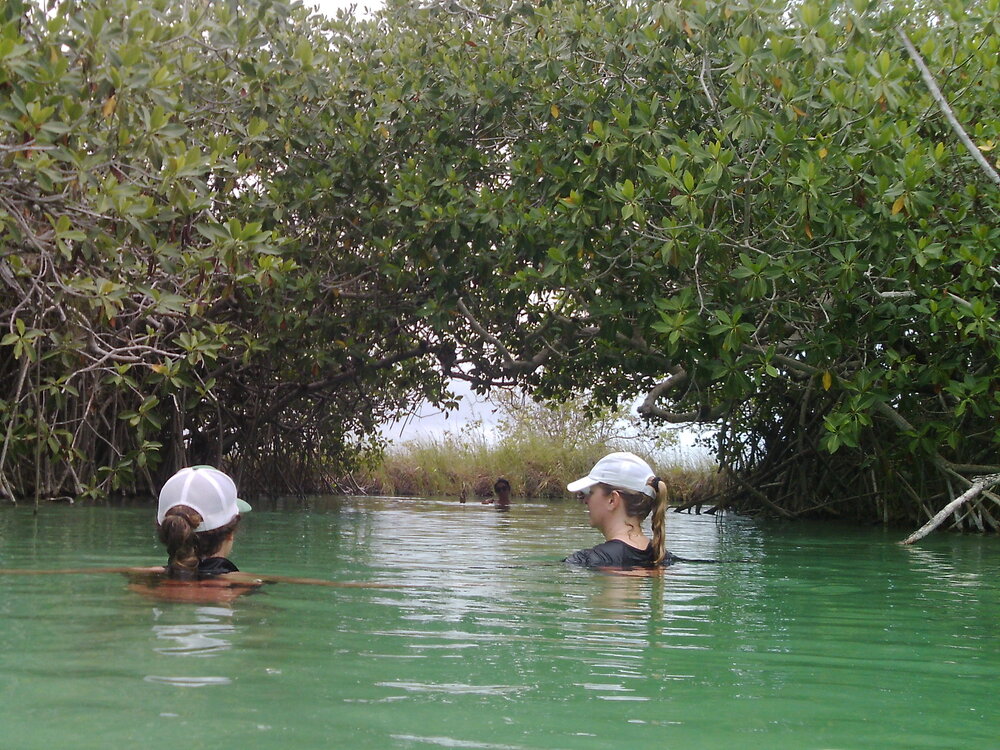Sian-Kaan-Float-Mangroves.JPG