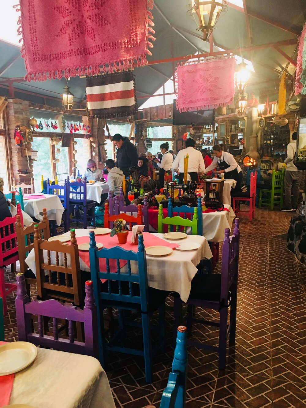 Colorful-Cafe-Dining-Mexico-City-Desierto-Do-Los-Leones
