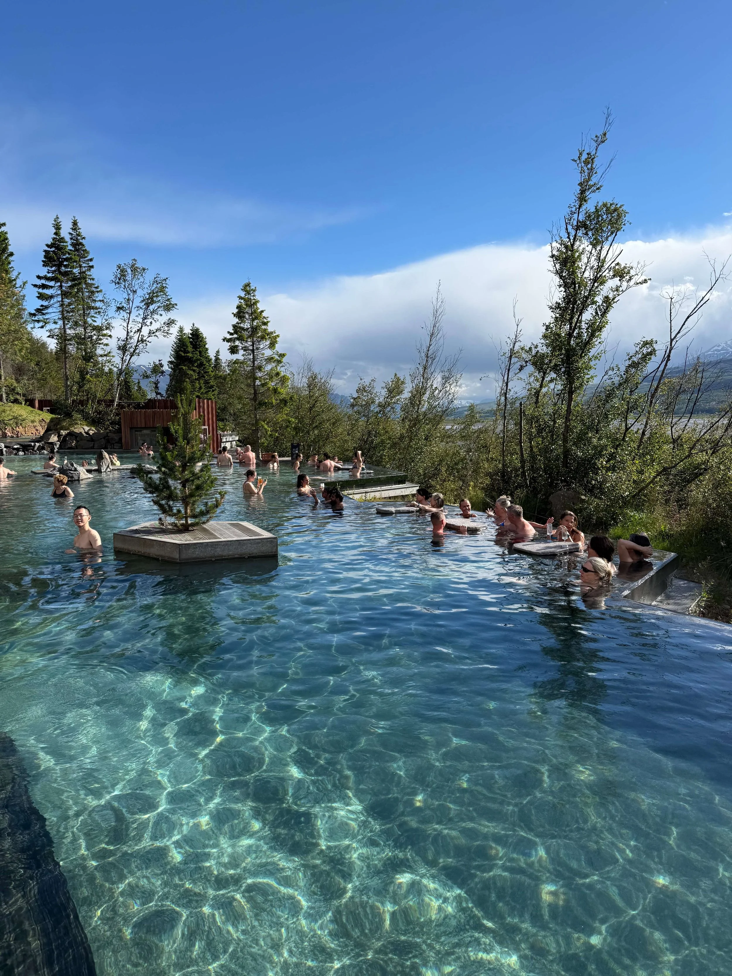 ForestLagoon.jpeg